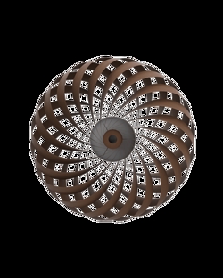 TR5 wandlamp, berk/bruin, 60 x 20 cm