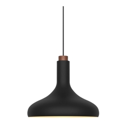 Fuji hanglamp, zwart