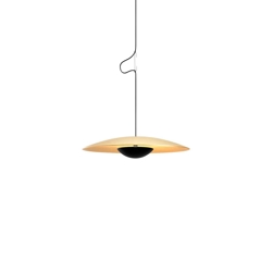 Ginger Ø20 hanglamp, messing