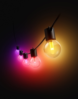 Philips Hue Festavia Globe lichtsnoer WCA (7 meter)