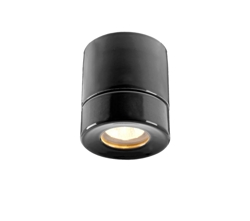 Light On Downlight Sauna plafondlamp, zwart