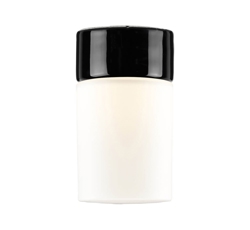 Opus 100/175 plafondlamp / wandlamp, zwart