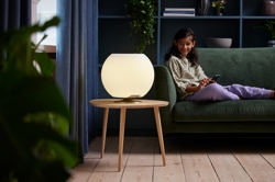 Sphere LED lamp met speaker & drankkoeler, geborsteld zilver