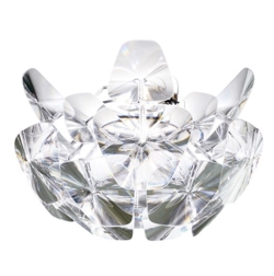 Hope plafondlamp D66/12p, transparant