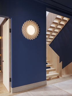 Signature 65 plafond plafondlamp / wandlamp, berk