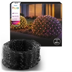 Philips Hue Festavia lichtnet m/250 LED WCA (3 meter)