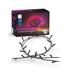 Philips Hue Festavia lichtsnoer WCA m/250 LED