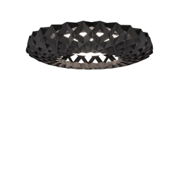 Signature 65 plafond plafondlamp / wandlamp, zwart