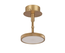 Asteria Spot wandlamp/plafondlamp, messing