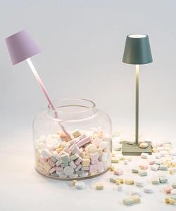 Poldina micro in roze en saliegroen