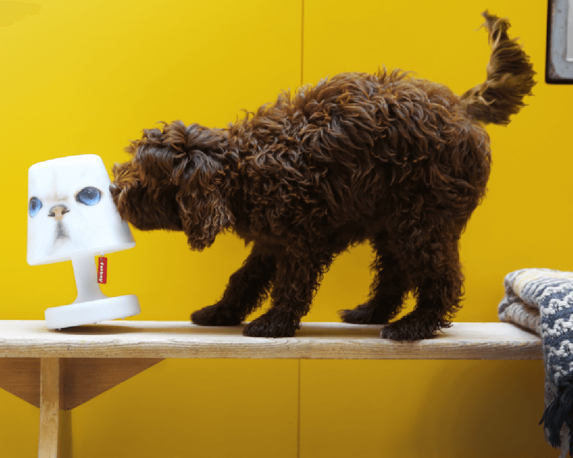 Kleed je Edison the Petit aan met een Copper Cappie | Koop Fatboy kap bij Lamper-shop.nl