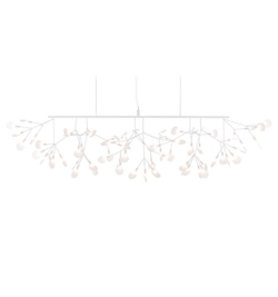 Heracleum III Linear, wit