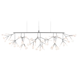 Heracleum III Linear, nikkel