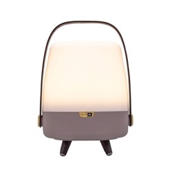 Lite-up Play Mini 2.0 LED lamp met JBL speaker, earth