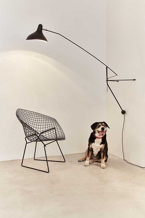 Mantis BS2 wandlamp, zwart