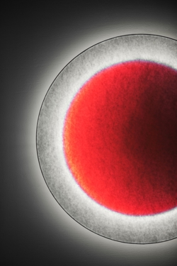 MOODMOON R85 wandlamp