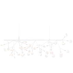 Heracleum III Endless, wit