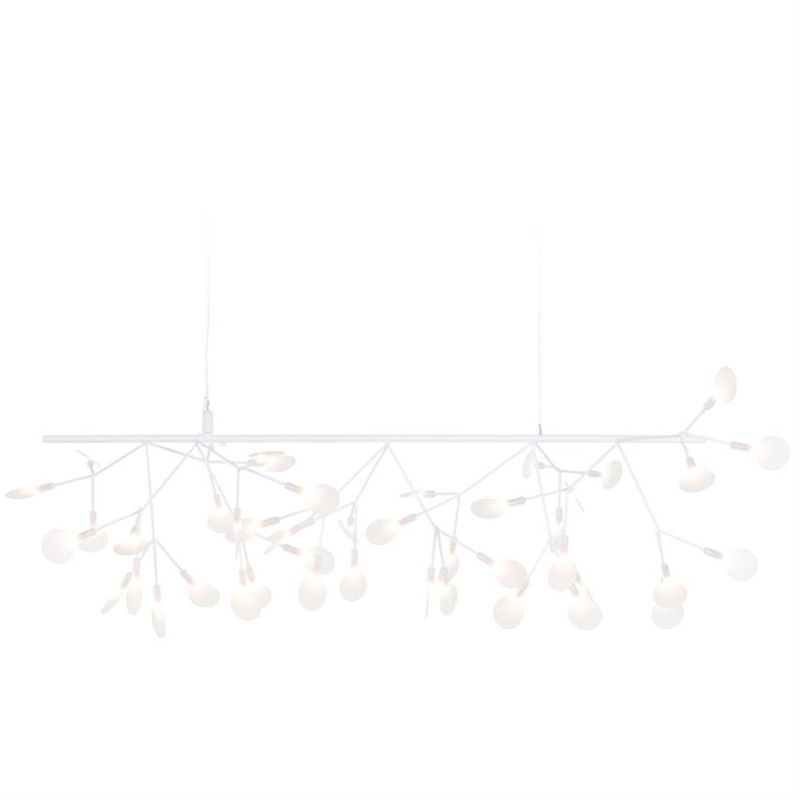 Heracleum III Endless, wit