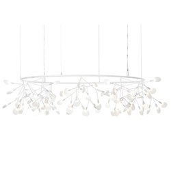 Heracleum III The Big O, wit