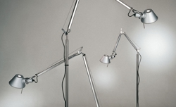 Tolomeo Micro Terra