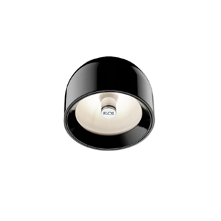 Wan Plafondlamp/Wandlamp, Zwart